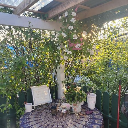 Shannon Estuary Glamping Effernan Bagian luar foto
