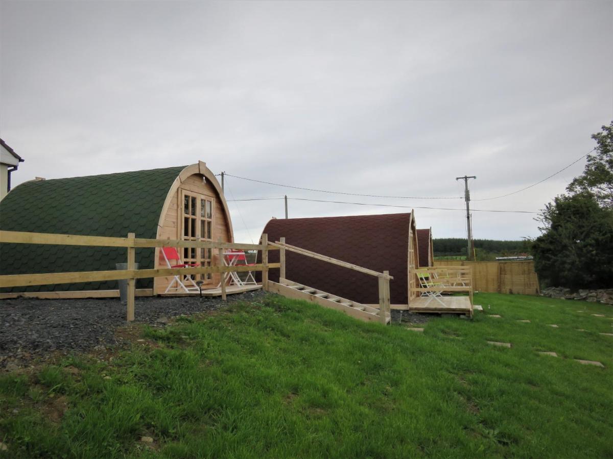 Shannon Estuary Glamping Effernan Bagian luar foto