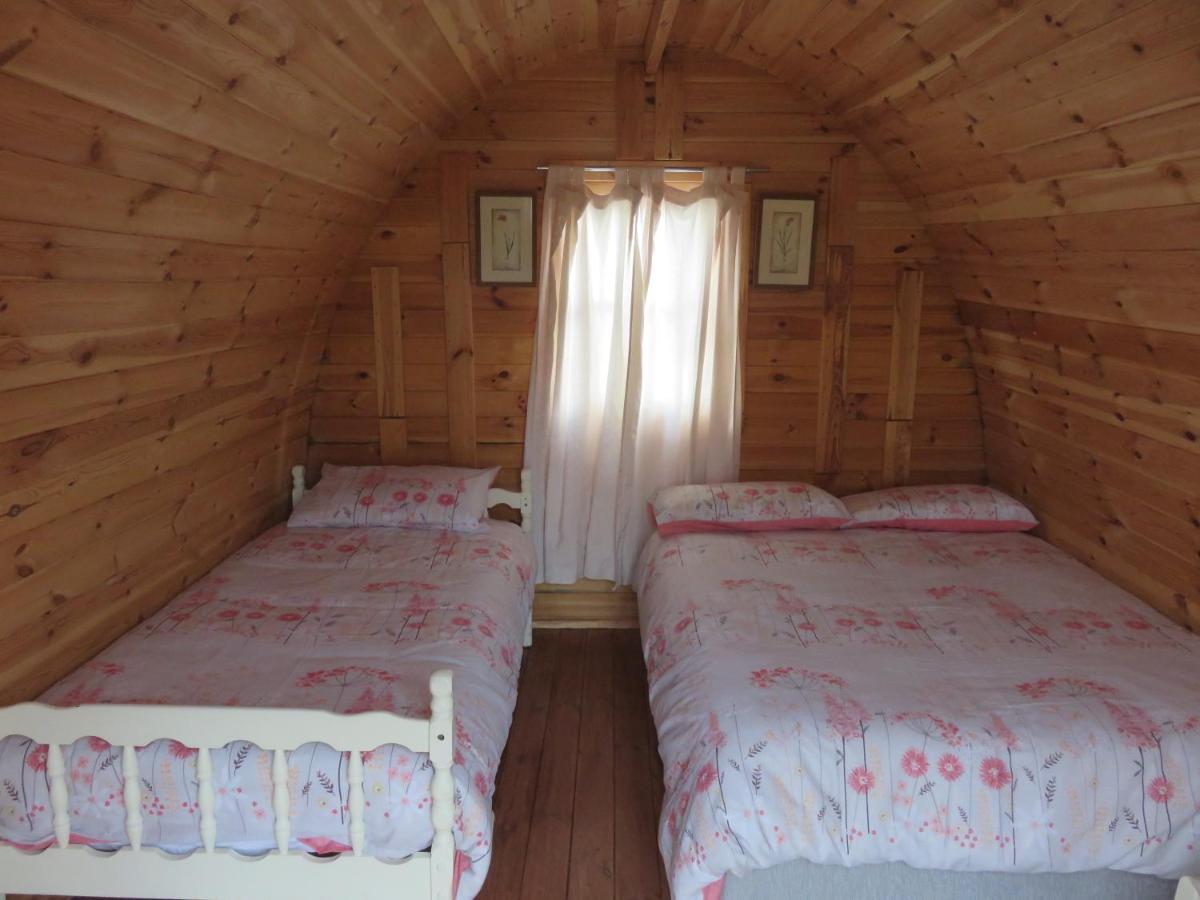 Shannon Estuary Glamping Effernan Bagian luar foto