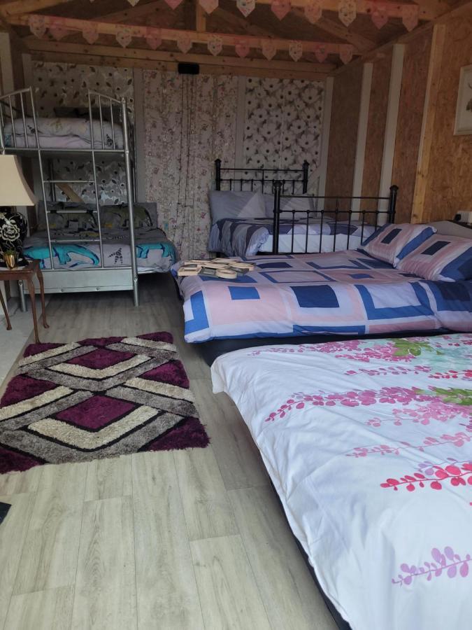 Shannon Estuary Glamping Effernan Bagian luar foto