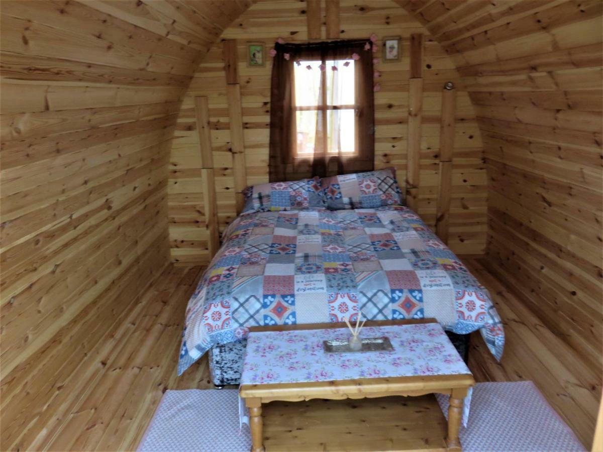 Shannon Estuary Glamping Effernan Bagian luar foto