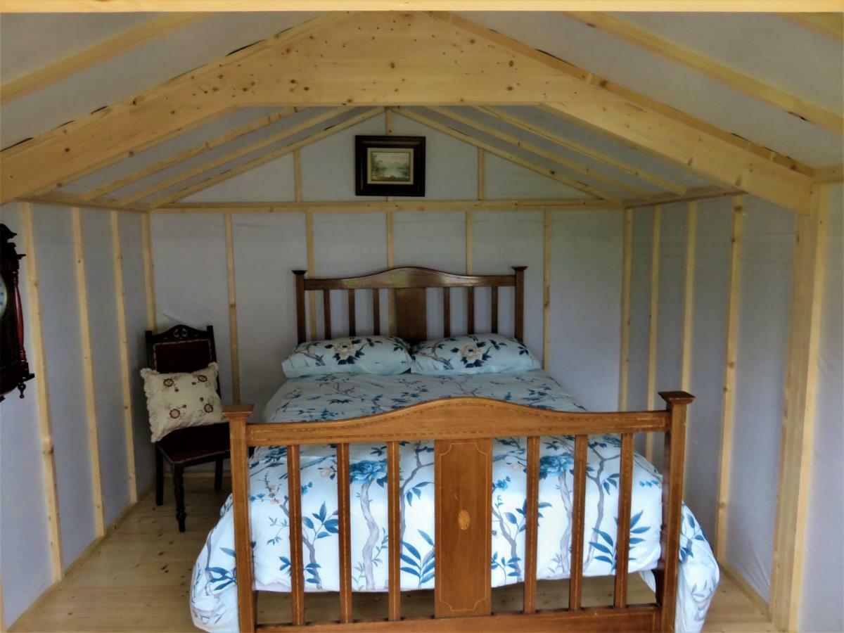 Shannon Estuary Glamping Effernan Bagian luar foto