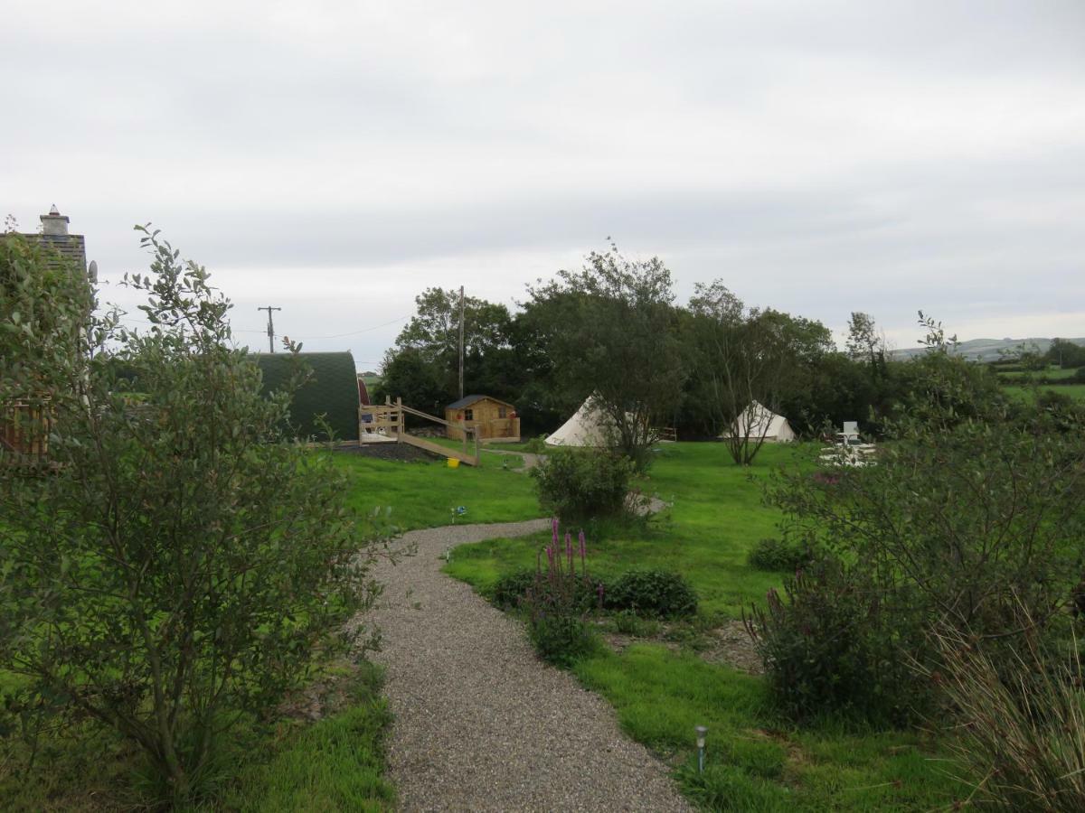 Shannon Estuary Glamping Effernan Bagian luar foto