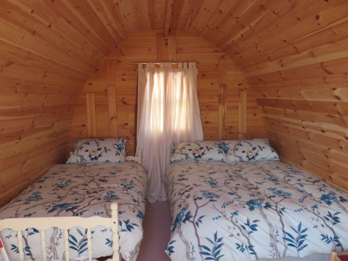 Shannon Estuary Glamping Effernan Bagian luar foto