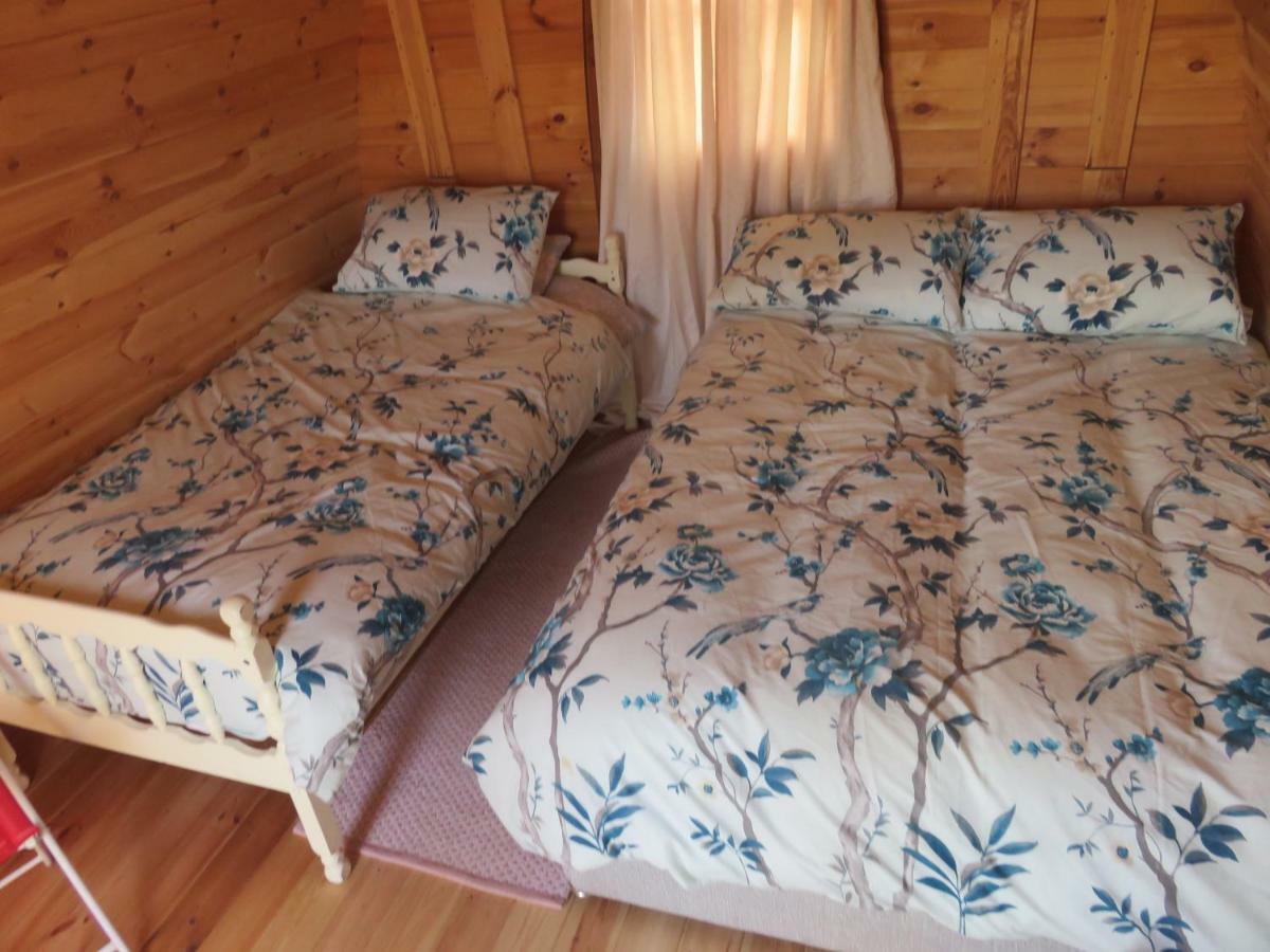 Shannon Estuary Glamping Effernan Bagian luar foto