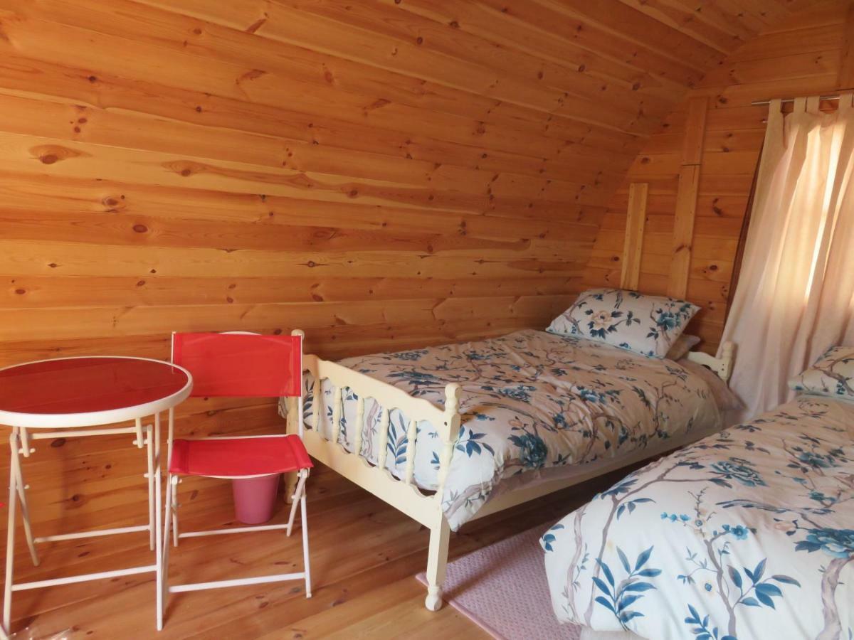 Shannon Estuary Glamping Effernan Bagian luar foto