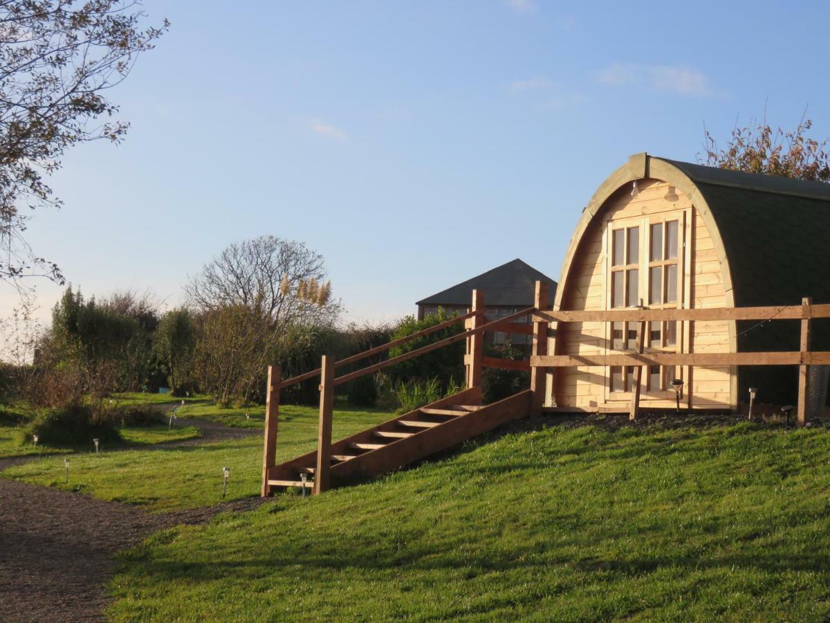 Shannon Estuary Glamping Effernan Bagian luar foto